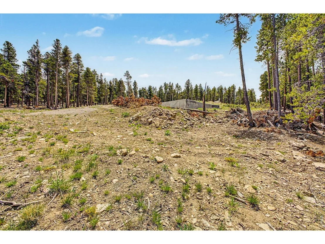 Photo of 52 Meadowlake Dr