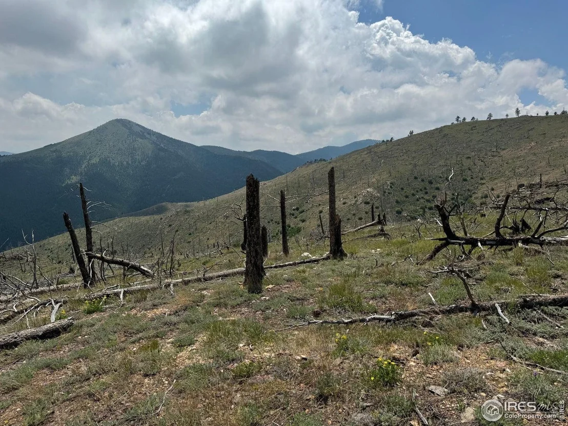 Photo of 280 Rim Rd