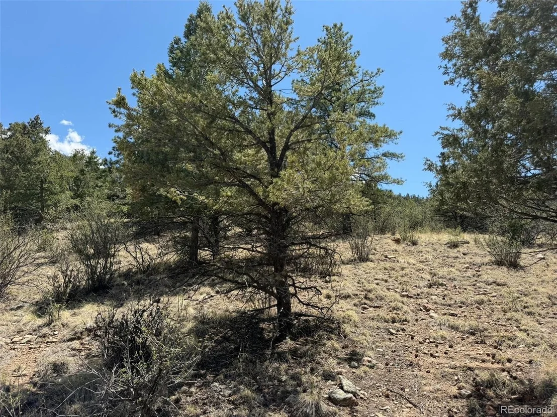 Photo of 477 Bear Peak Rd