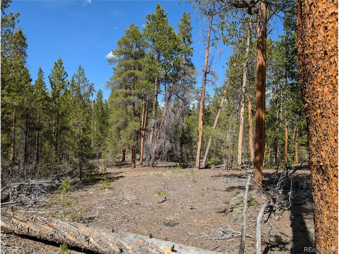 Photo of 495 Birch Dr