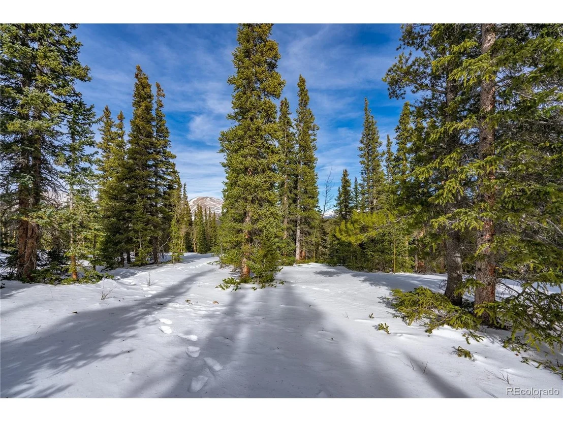 Photo of 503 Silverheels Pl