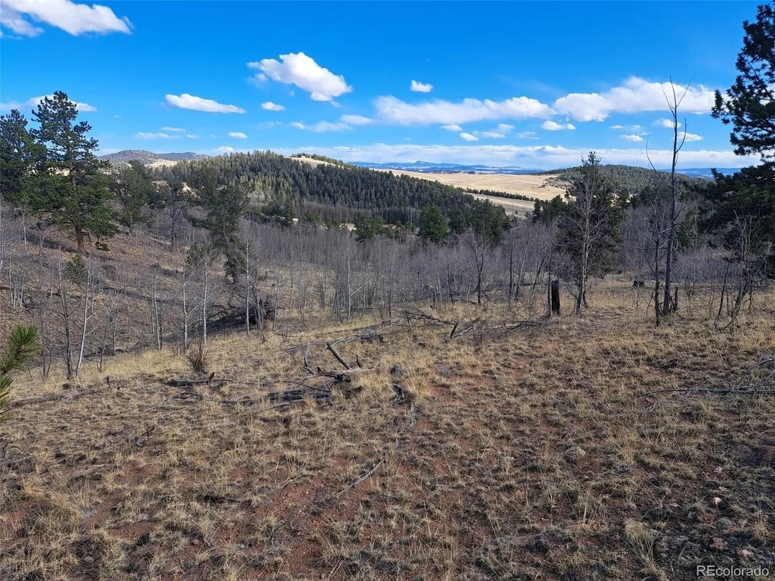 Photo of 908 Raven Way