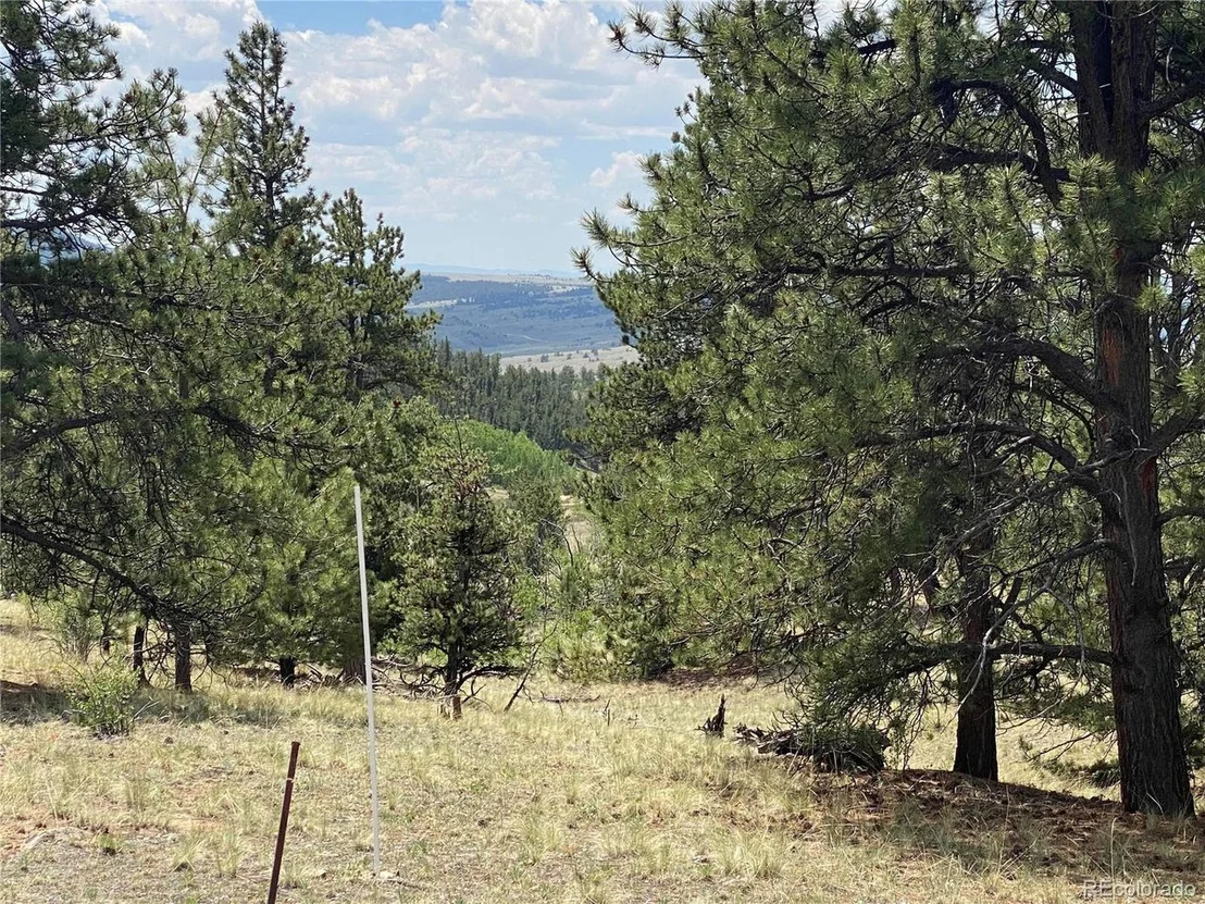 Photo of 73 Rams Run