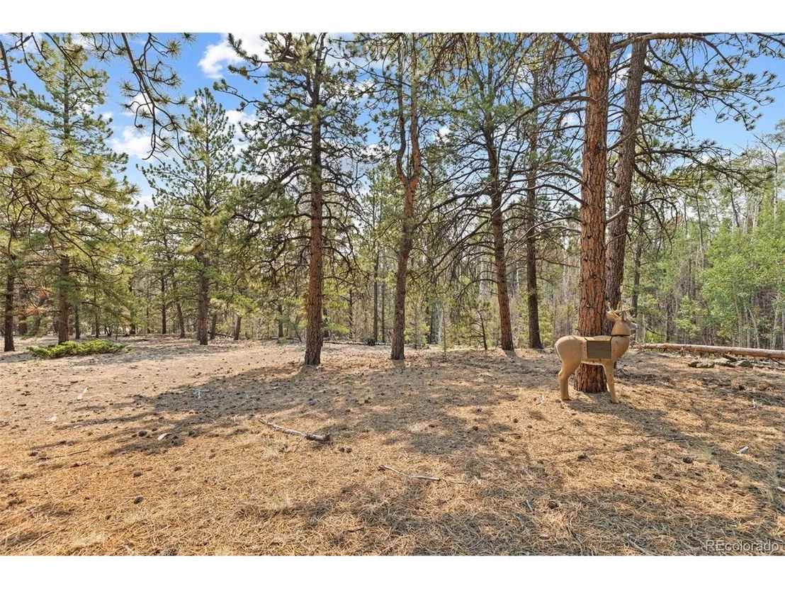 Photo of 559 Bellows Rd