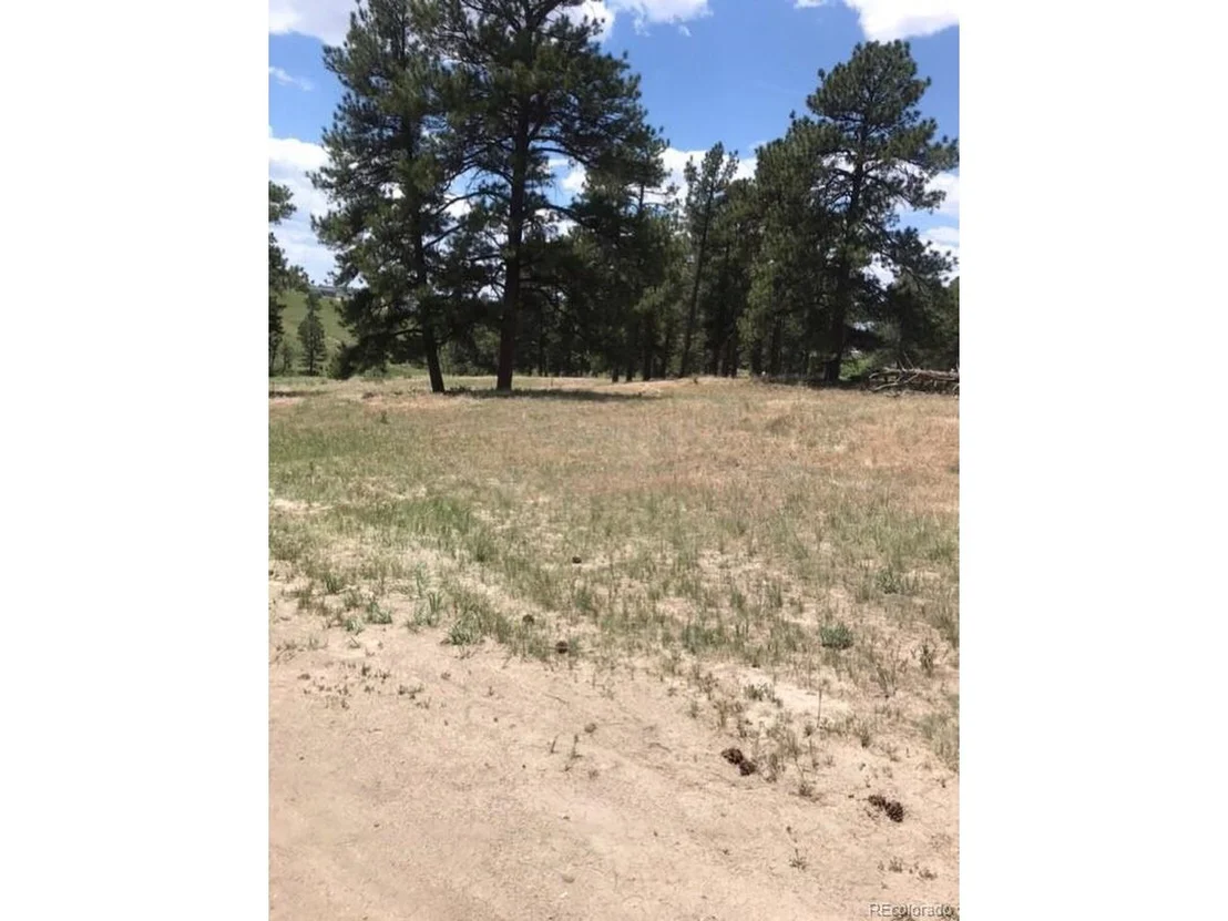Photo of 10560 Shadow Pines Rd