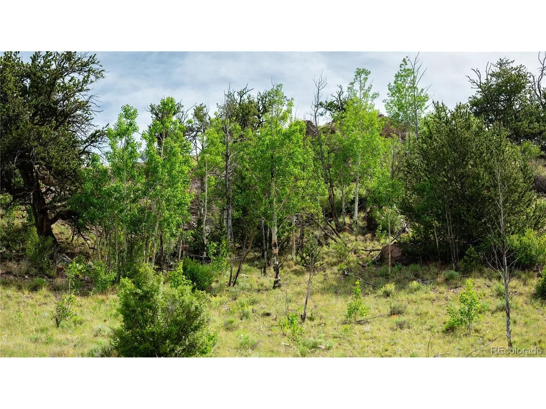 Photo of 5 Elk Height Ln