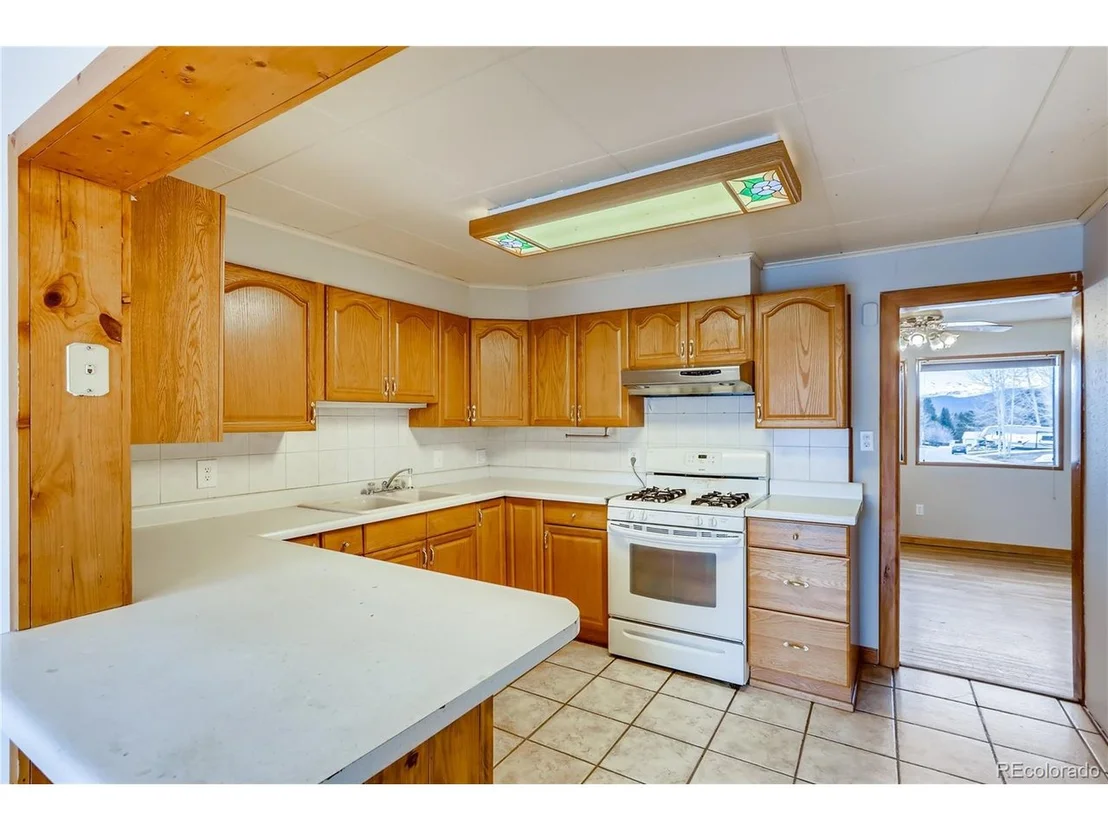 Photo of 1501 Mount Elbert Dr