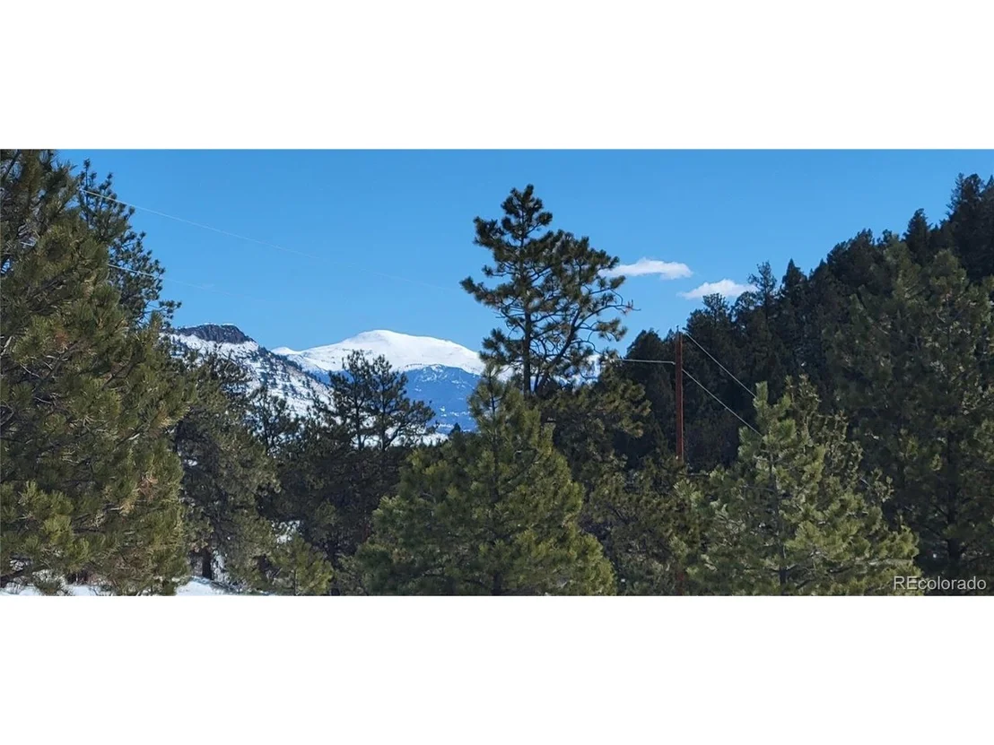 Photo of 1321 Bristlecone Rd