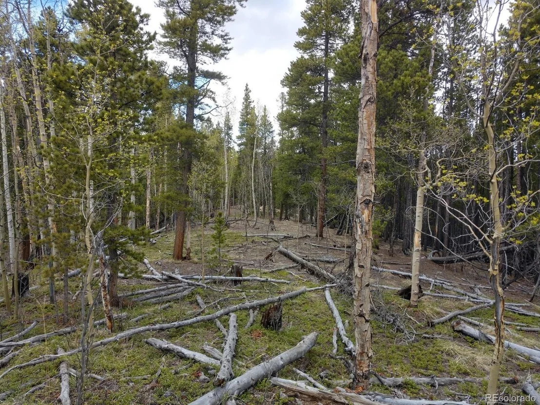 Photo of 317 Ski Doo Rd