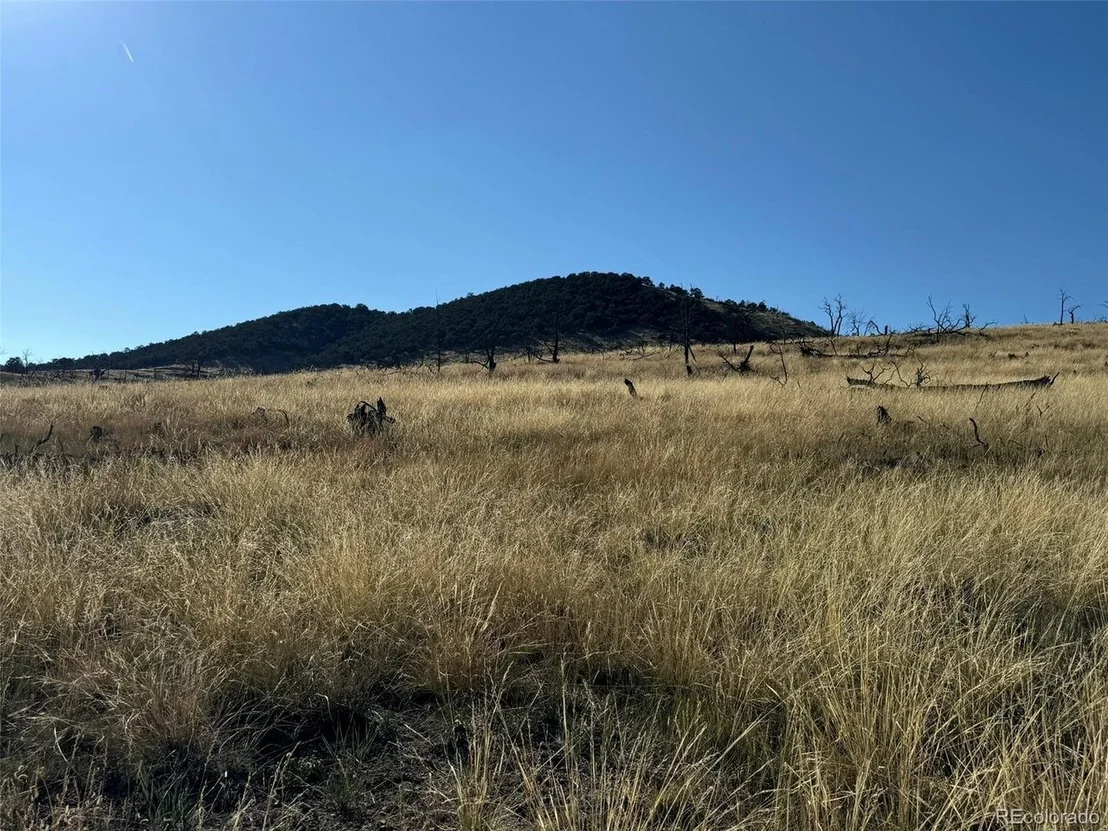 Photo of 48 Copper Gultch
