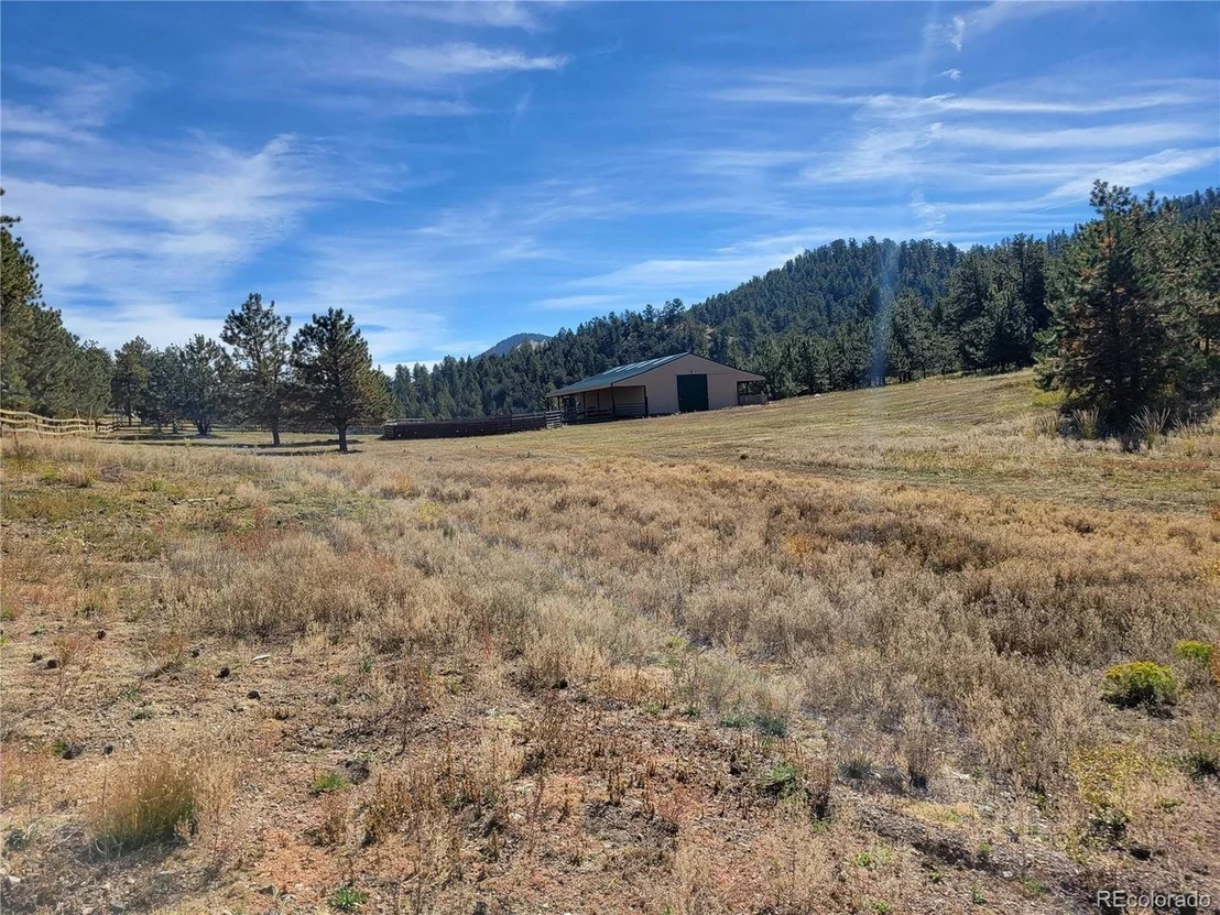 Photo of 1321 Bristlecone Rd