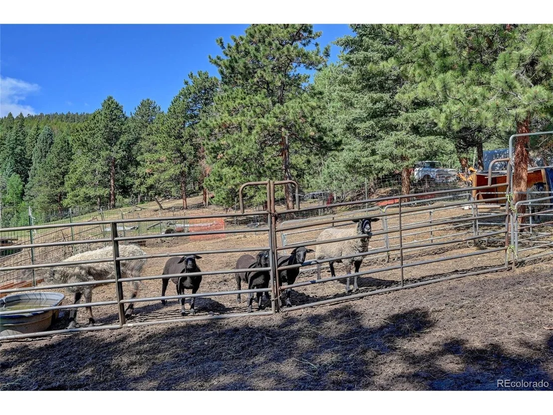 Photo of 28998 Fleming Rd