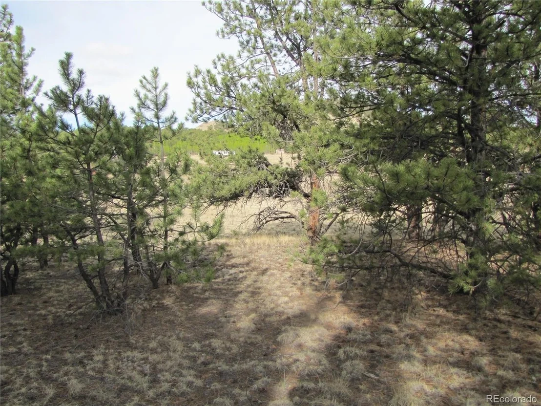 Photo of 575 Falcon Rd