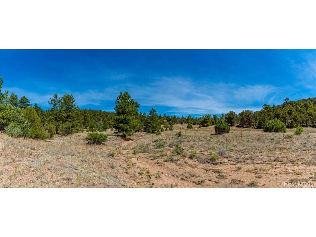 Photo of Arnold Dr