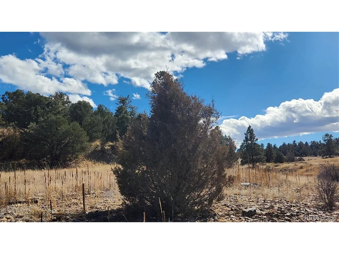 Photo of 311 Kit Carson Trl