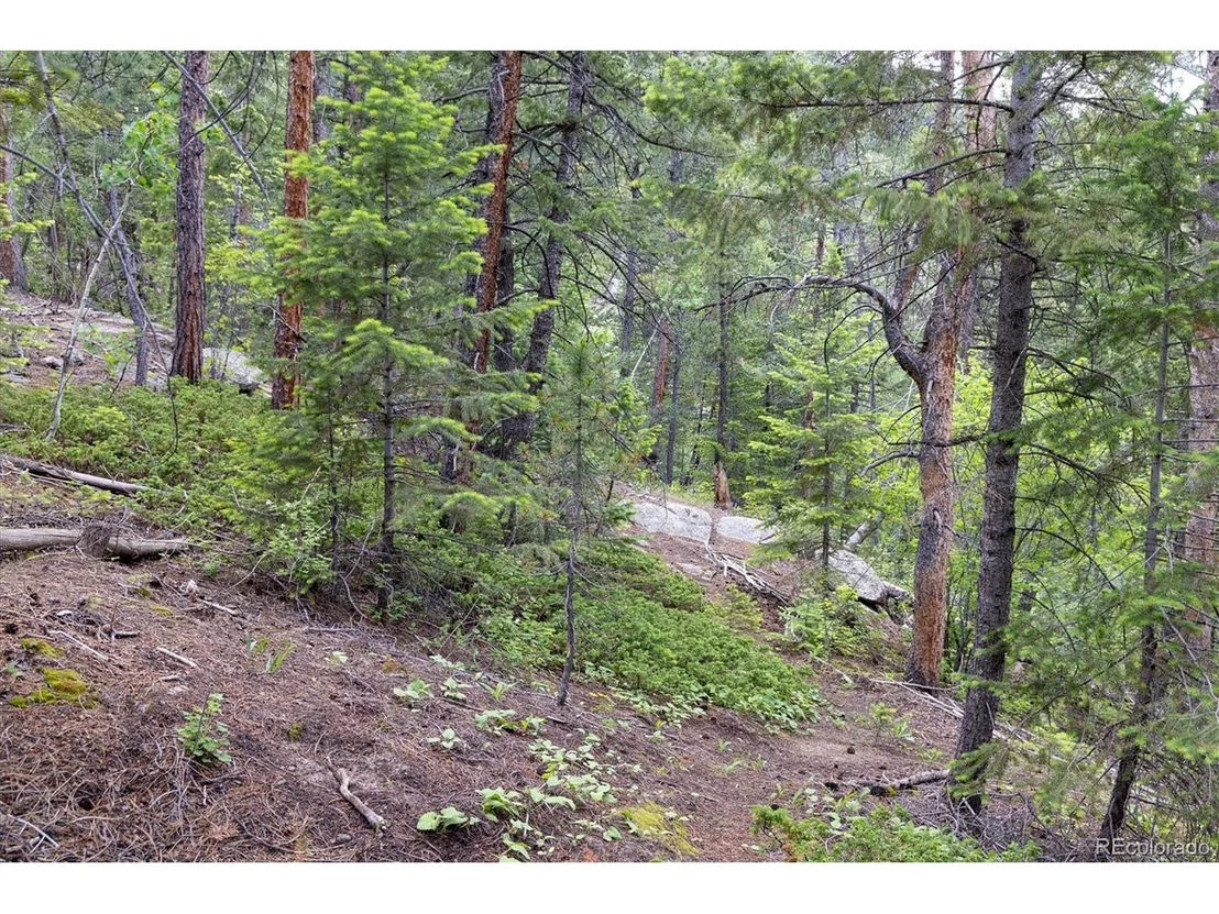 Photo of 31429 Burke Rd