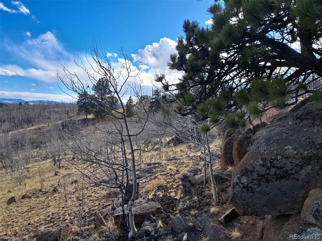 Photo of 908 Raven Way