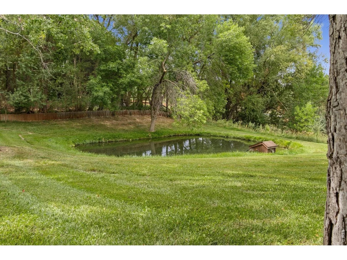 Photo of 5153 Single Tree Dr