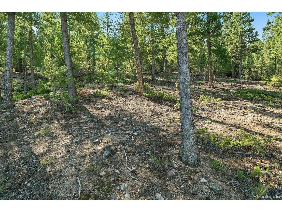 Photo of 33844 Bergen View Trl