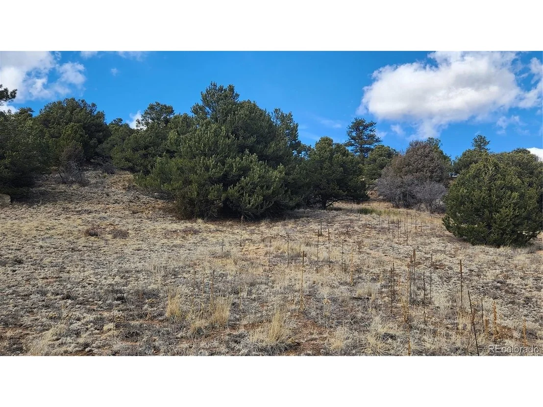 Photo of 47 White Cloud Dr