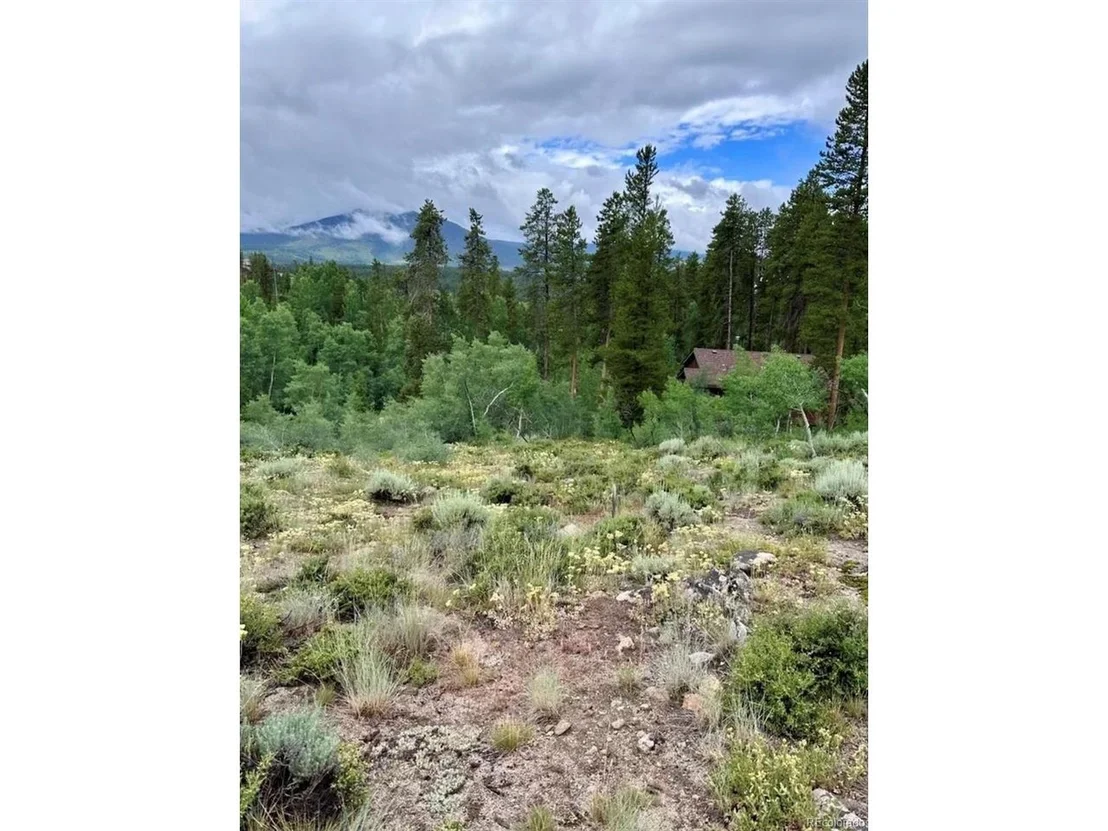 Photo of 797 Fawn Dr