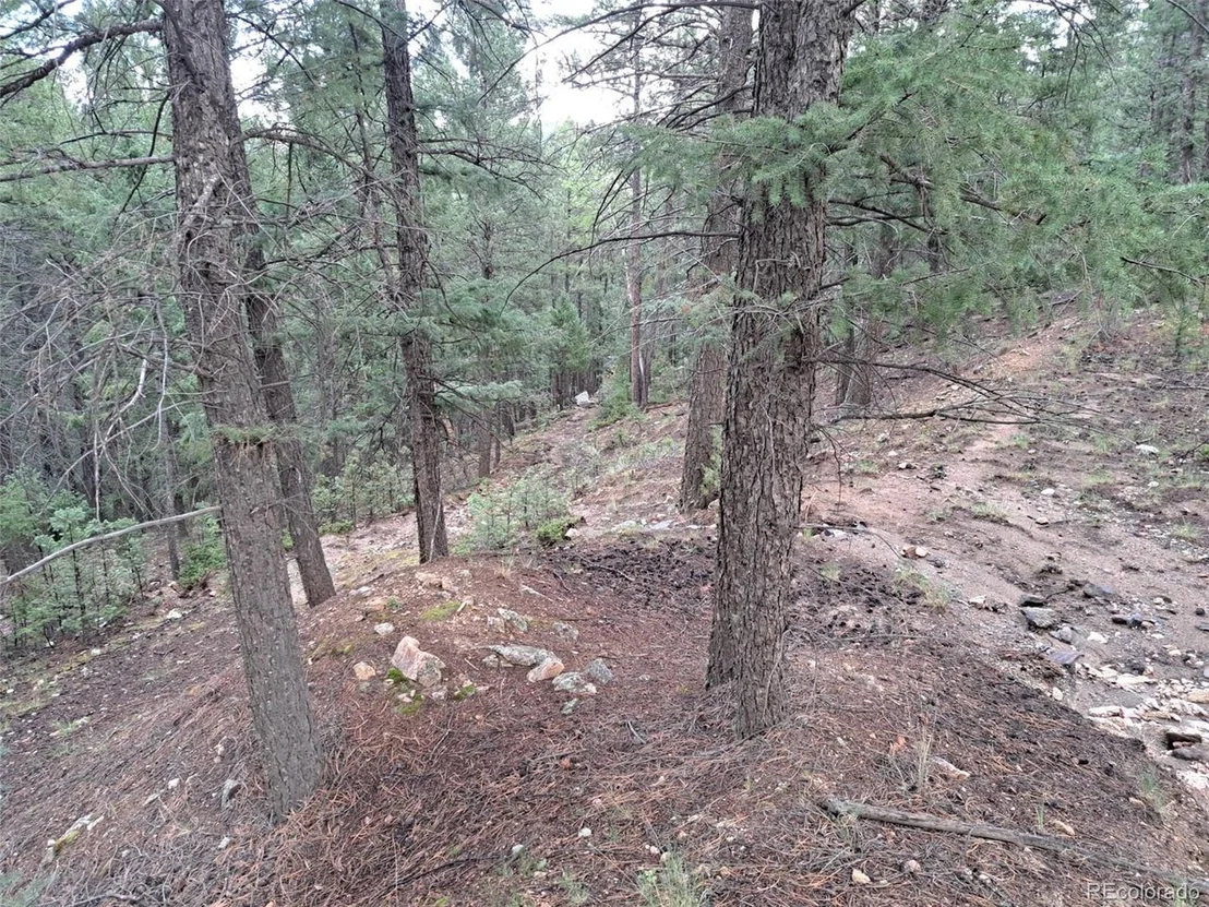Photo of 360 Hi Meadow Dr