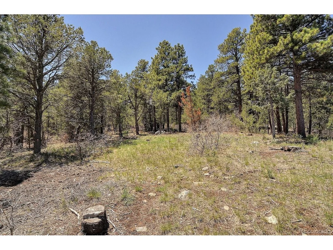 Photo of 3662 County Road 47