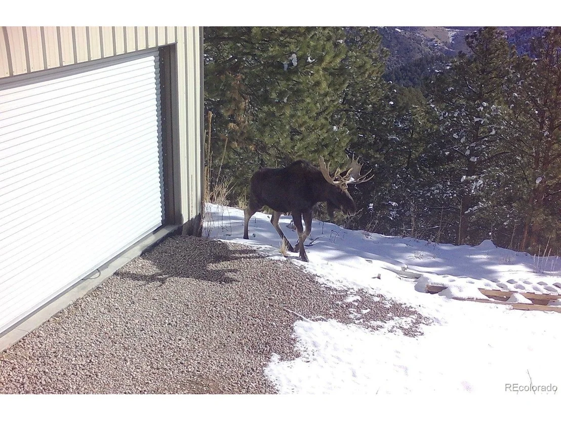 Photo of 8077 Drew Hill Rd