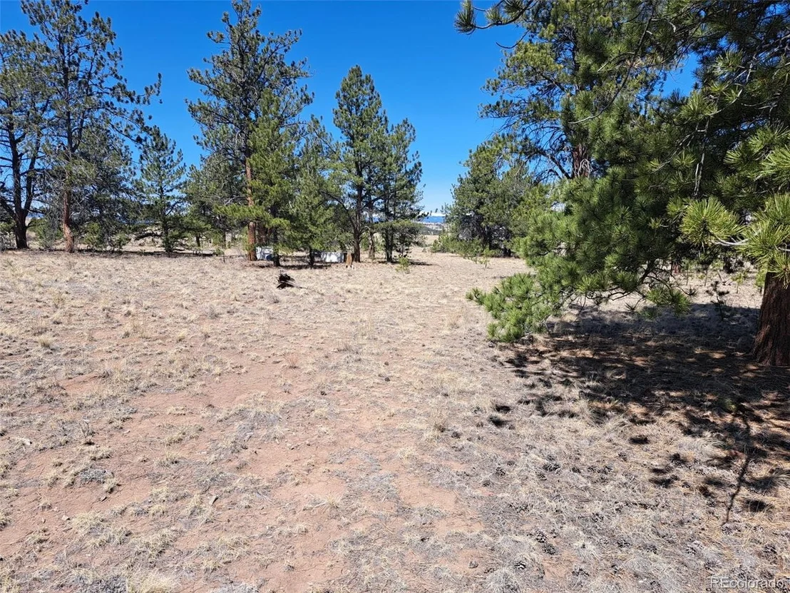 Photo of 235 Maricopa Trl