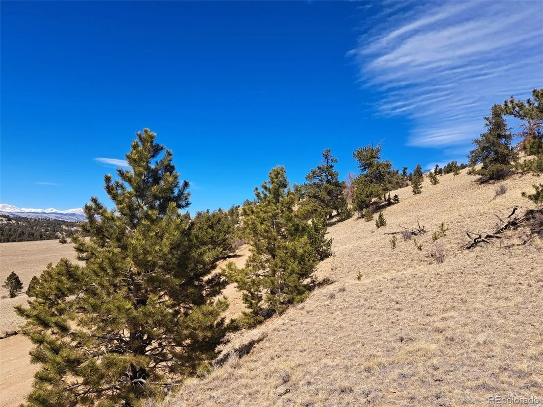 Photo of 369 Summit Rd