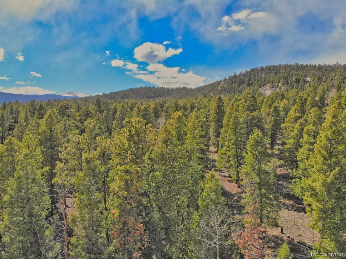 Photo of 449 Forest Dr