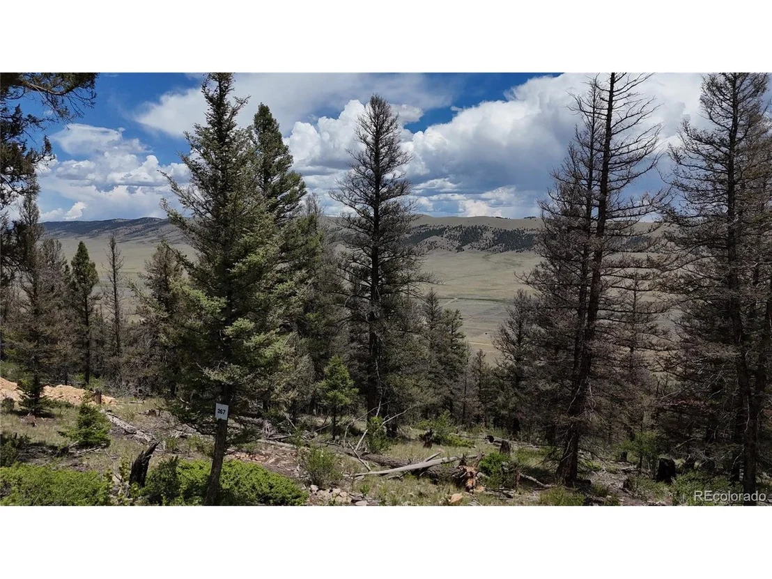 Photo of 1396 Middle Fork Vis