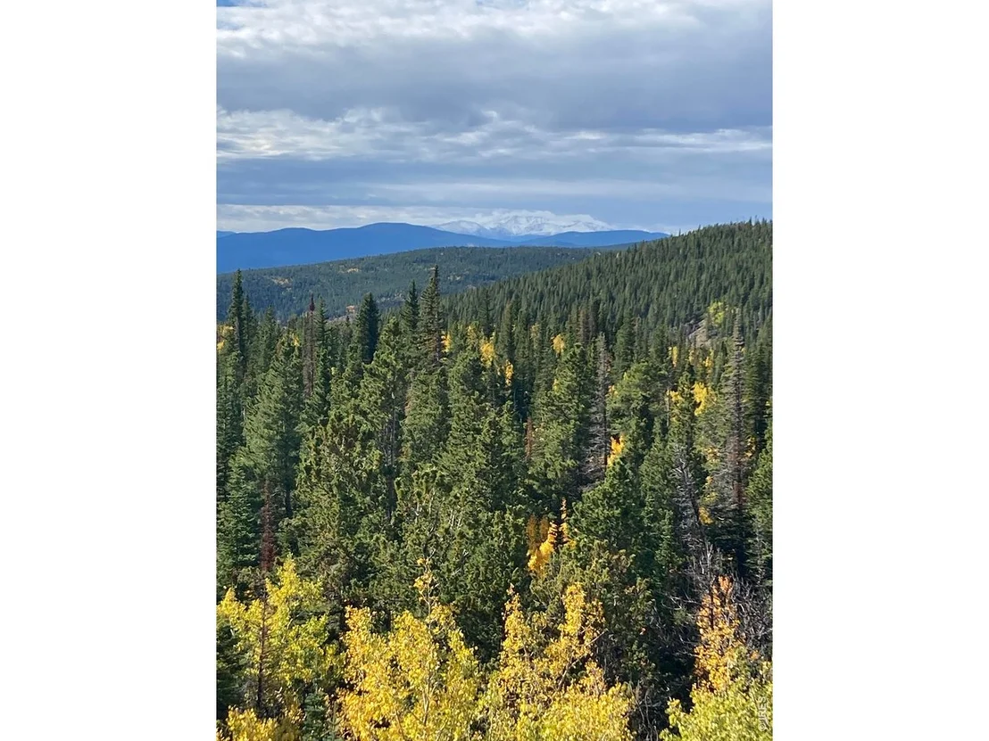 Photo of 1199 Brainard Lake Rd