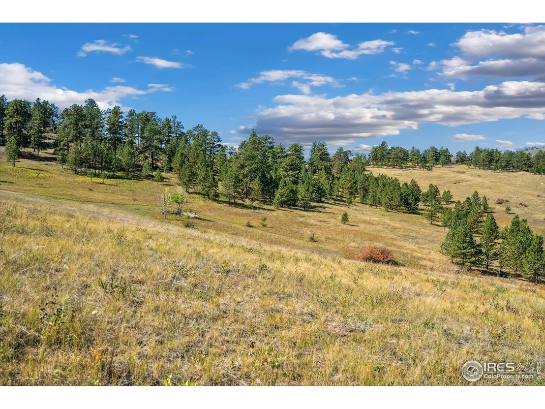 Photo of 491 Snow Top Dr