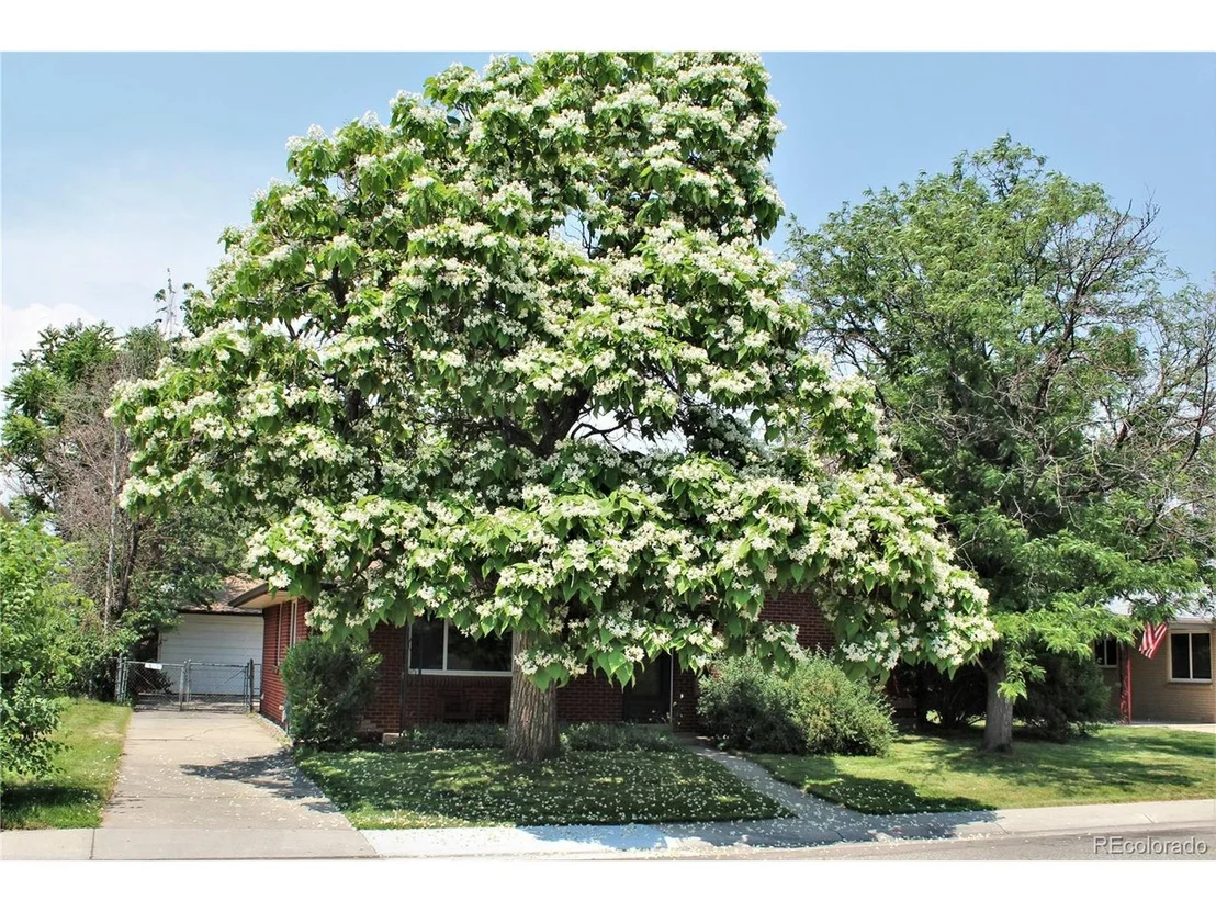 Photo of 5345 Otis St