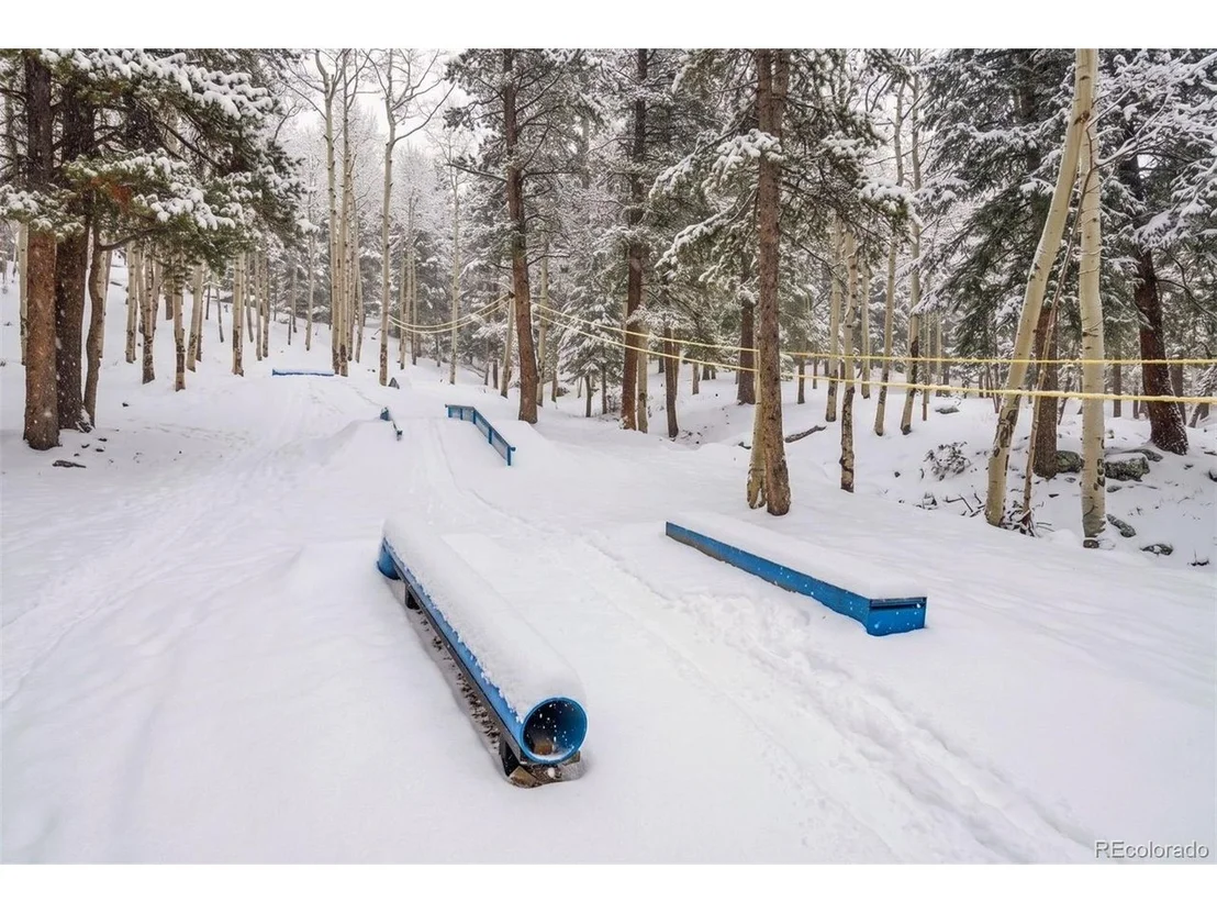 Photo of 11102 Conifer Mountain Rd