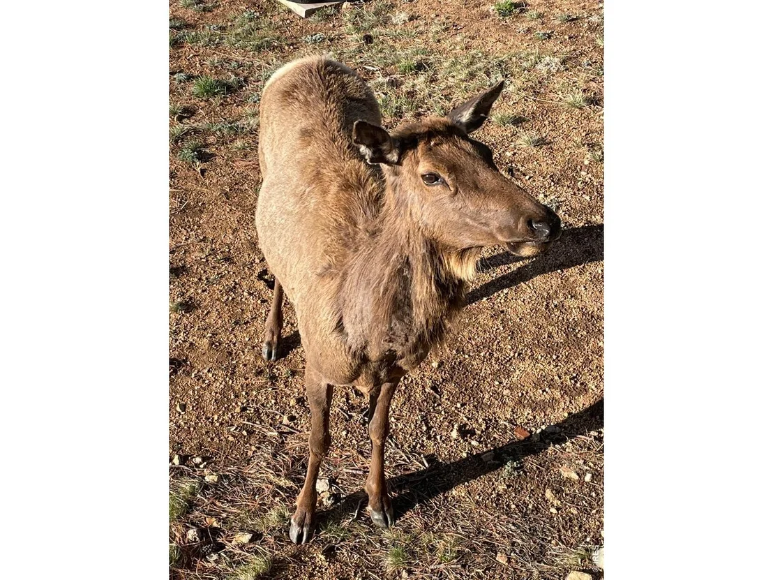 Photo of 285 Indian Trl