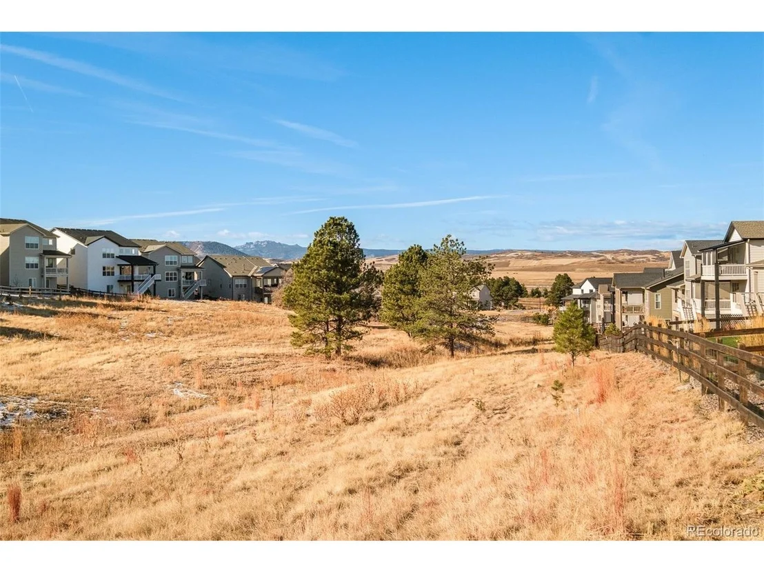 Photo of 98 Simmental Loop