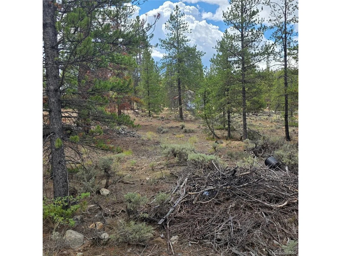 Photo of 28 Juniper Dr