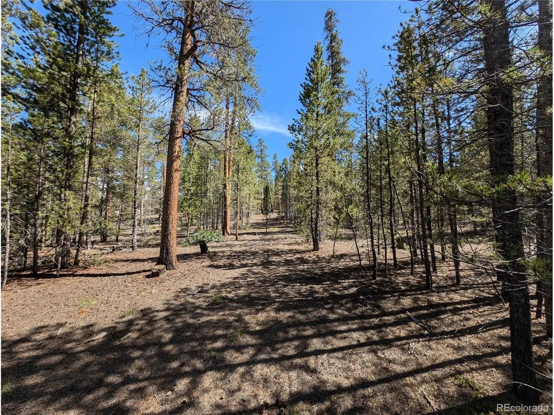 Photo of 495 Birch Dr