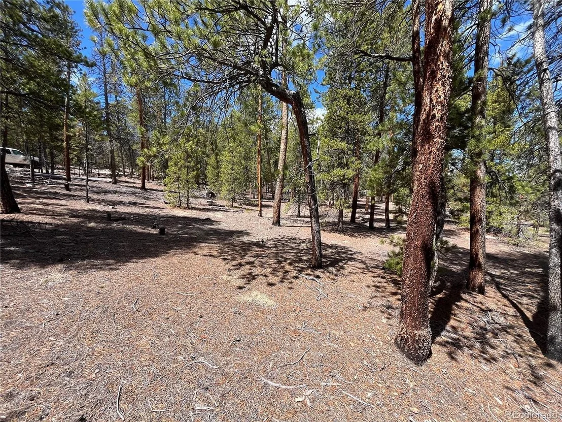 Photo of 1013 Sequoia Dr