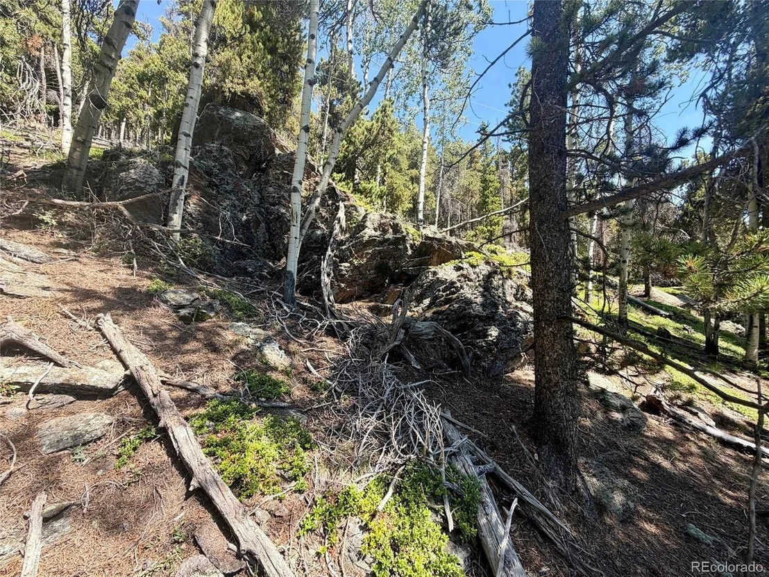Photo of 0 Lodgepole Cir