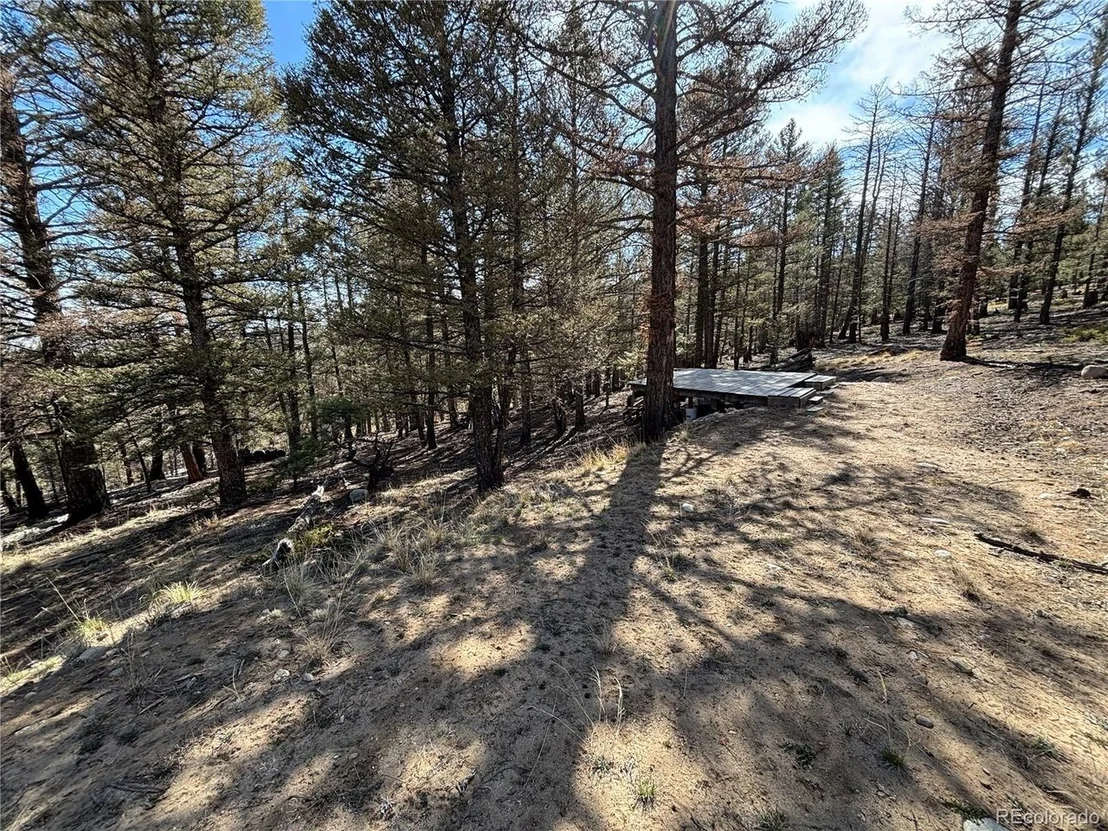 Photo of 1980 Pitchfork Rd