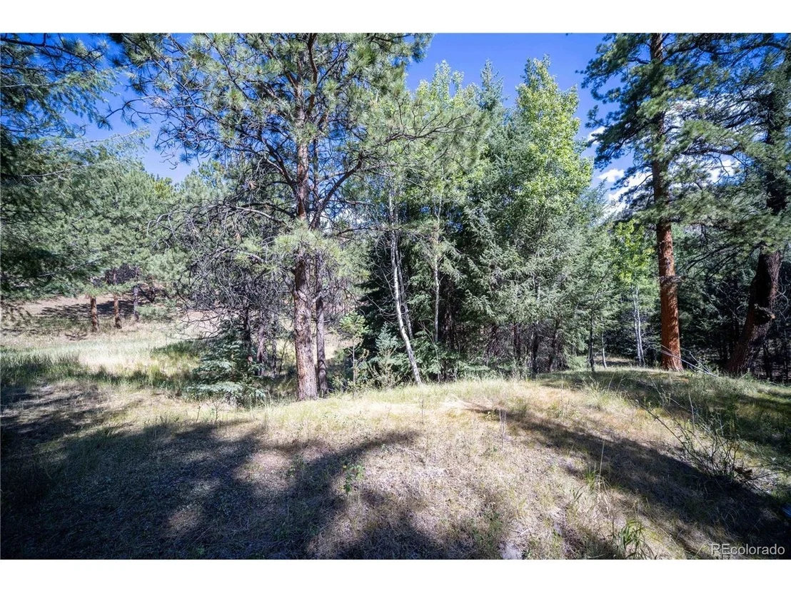Photo of 14850 Quandary Peak Rd
