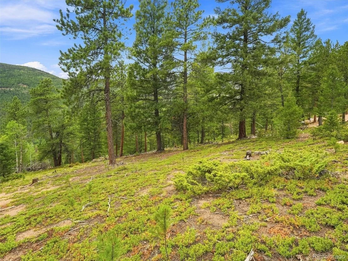 Photo of 31084 Forest Shadow Trl