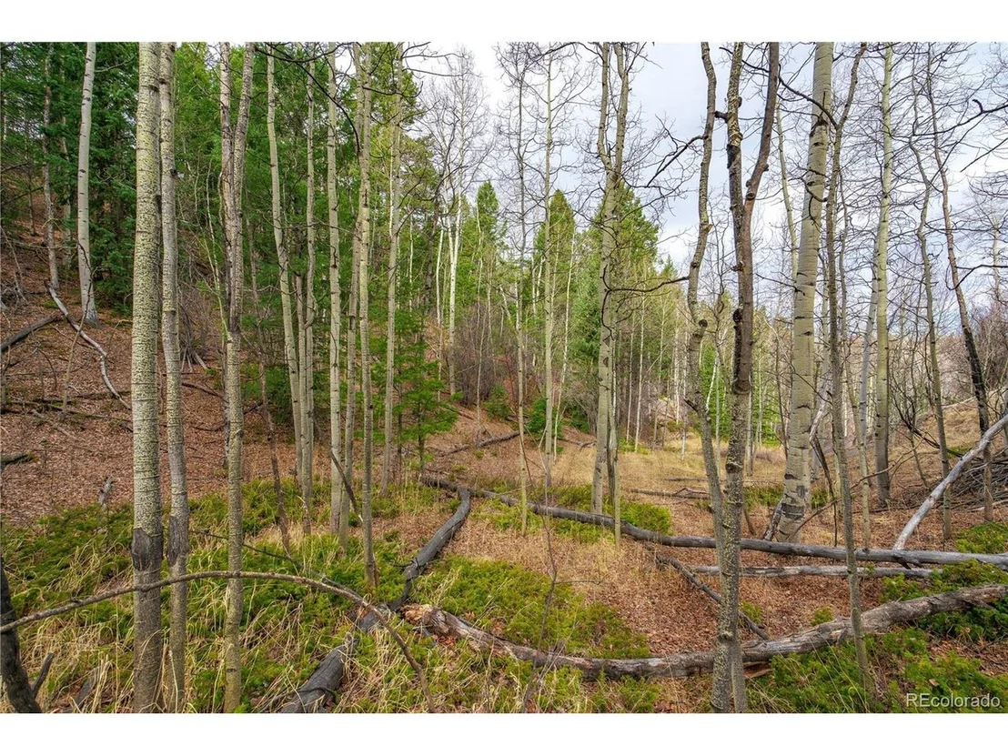 Photo of 130 Grey Eagle Way