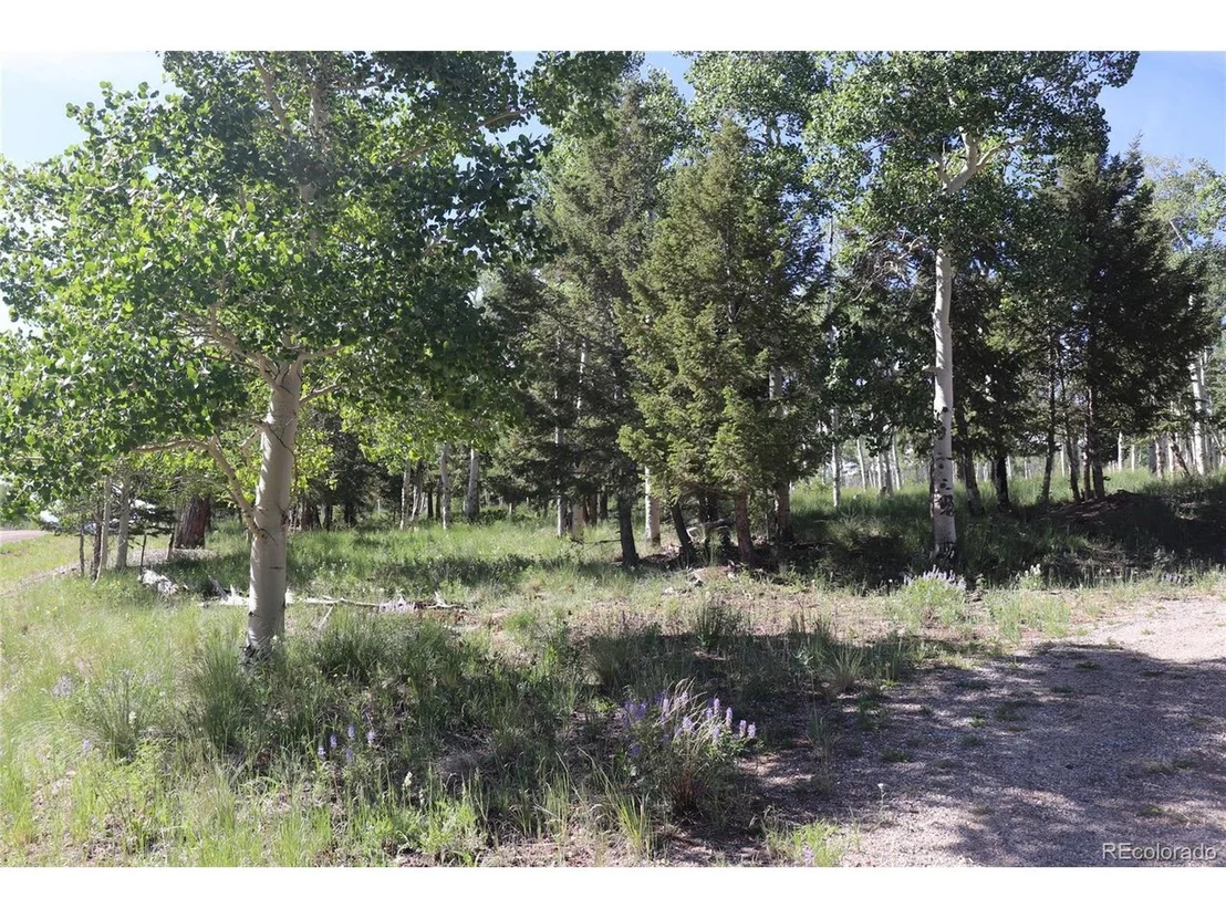 Photo of 1979 Pitchfork Rd