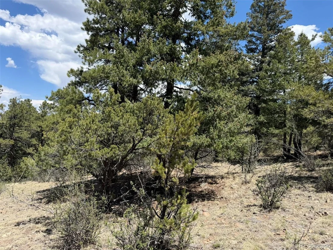 Photo of 477 Bear Peak Rd