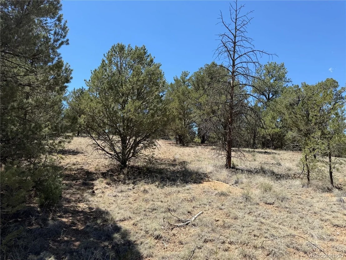 Photo of 520 W View Rd