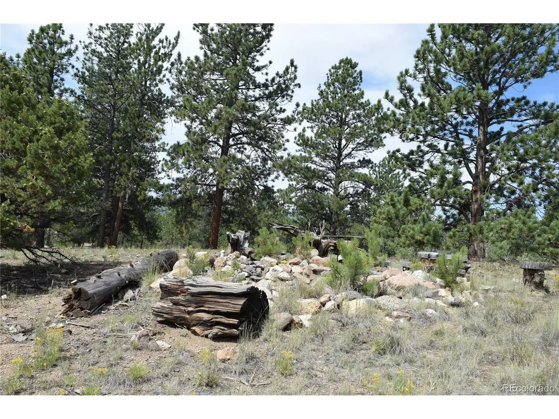 Photo of 1651 Aspen Trl